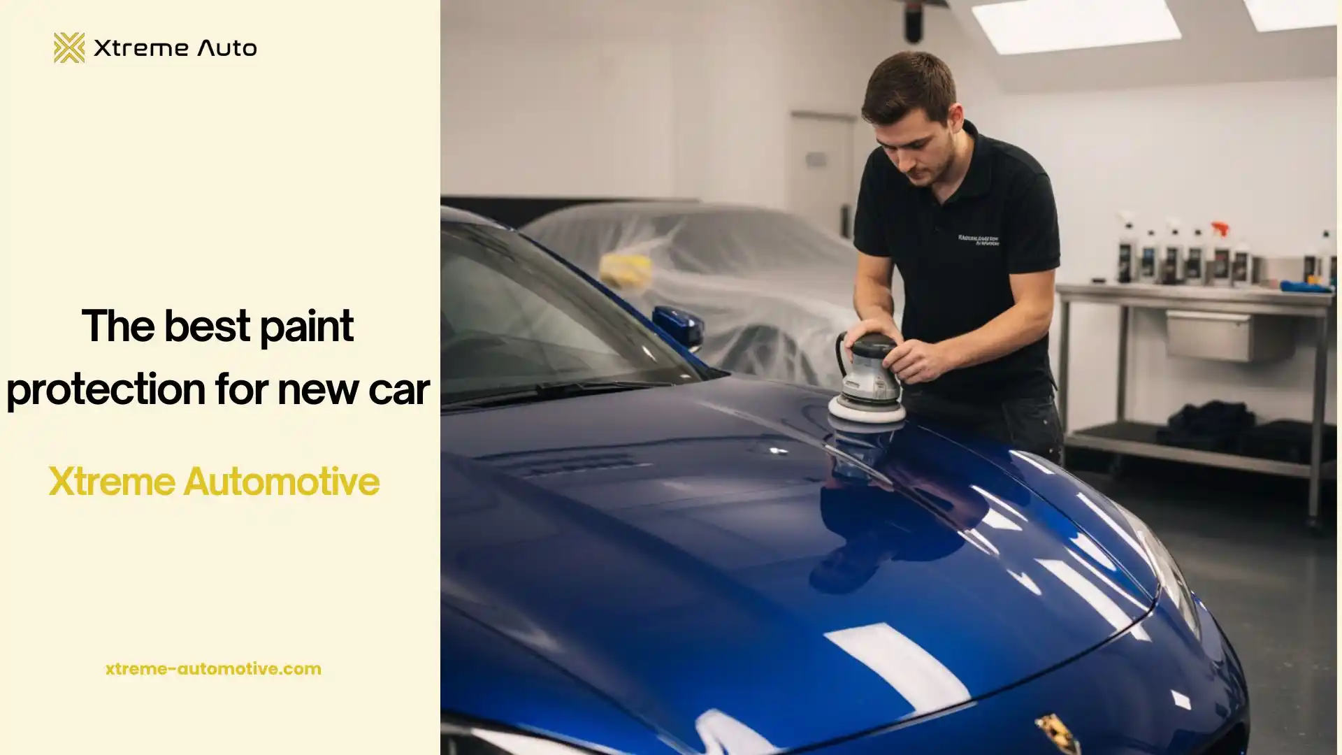 best paint protection for new car