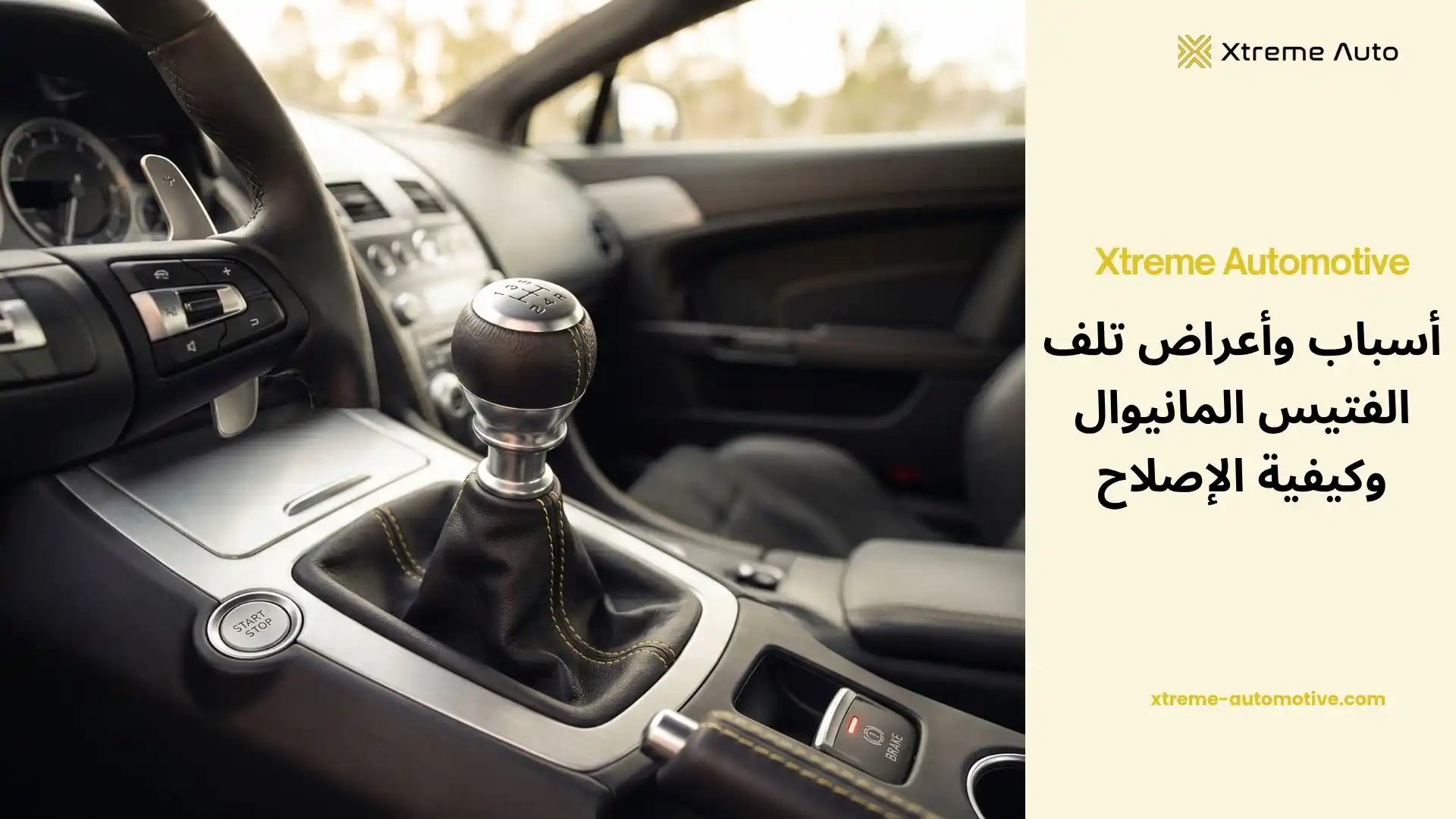 أعراض تلف الفتيس المانيوال