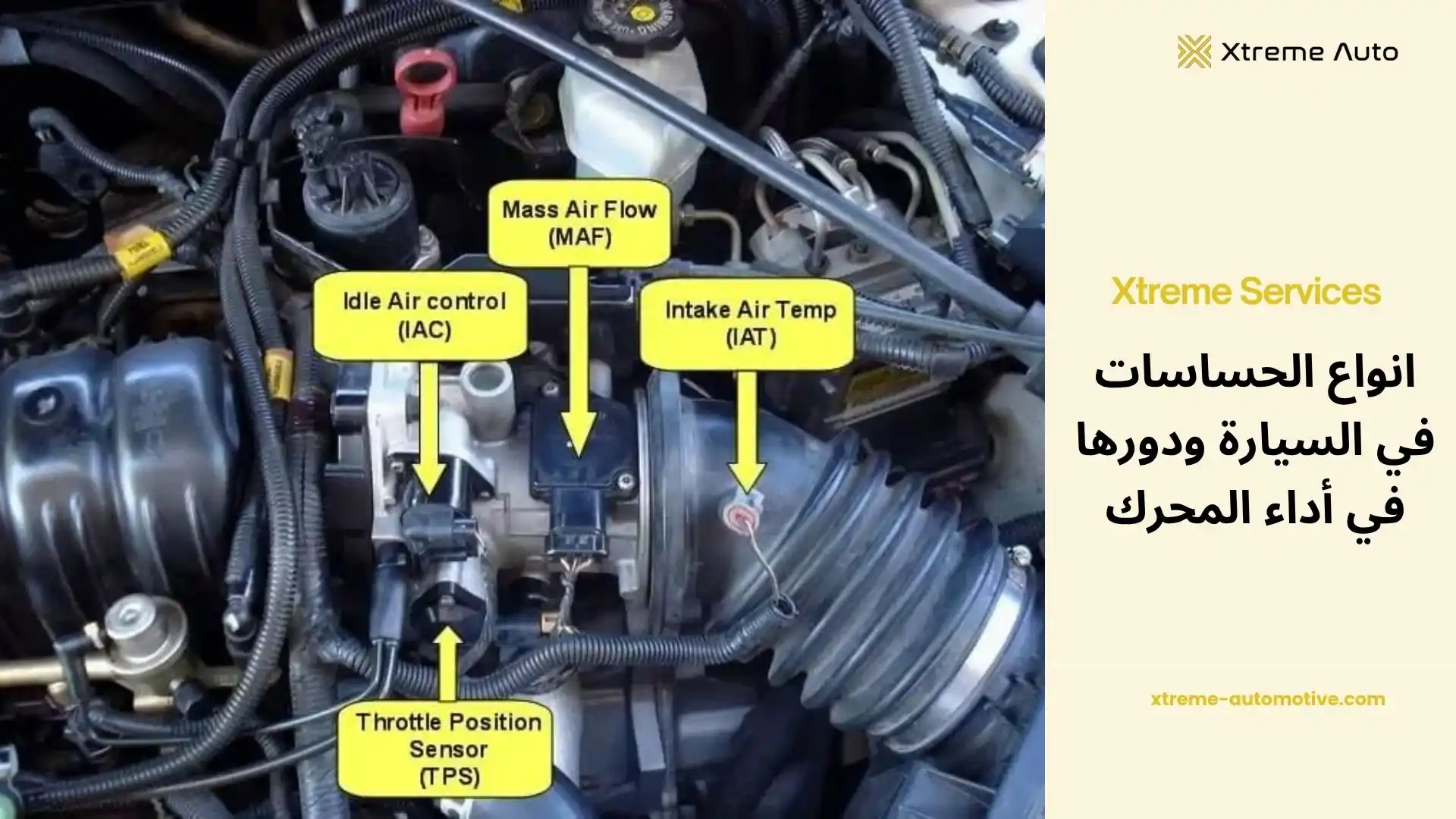 انواع الحساسات في السيارة