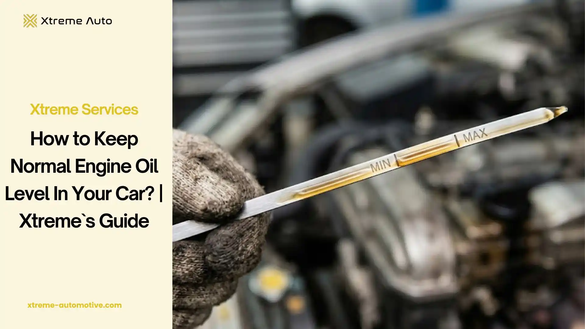 normal engine oil level